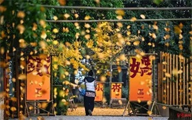 具身智能由“虚”向“实”的突破与挑战